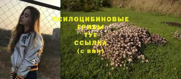 кокаин колумбия Алексин
