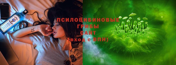 круглые Алзамай