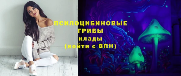 шишки Алексеевка