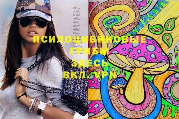 шишки Алексеевка