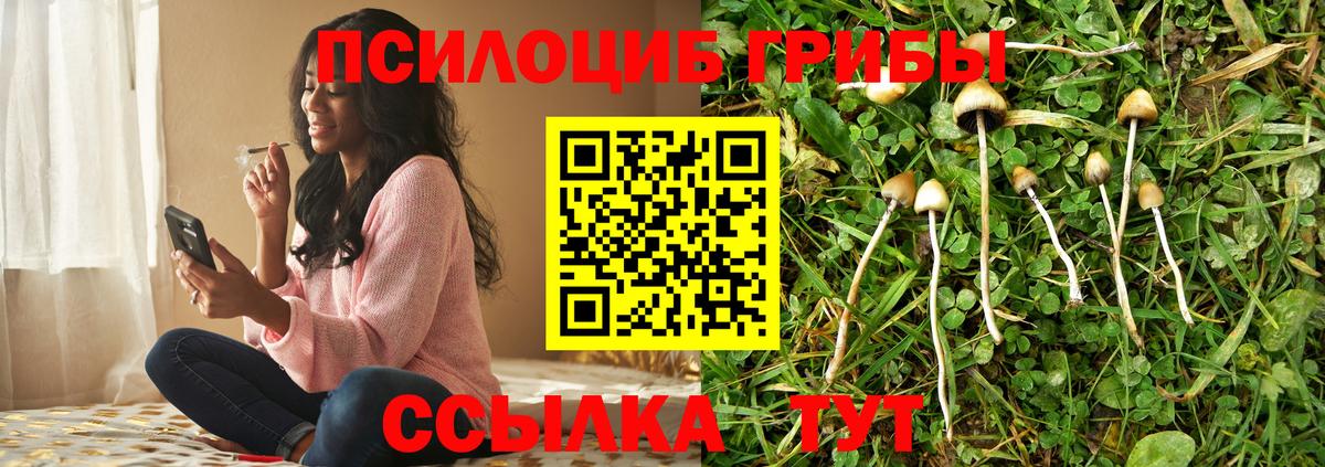 Солнечногорск  Галлюциногенные грибы ЛСД  Вход с VPN 