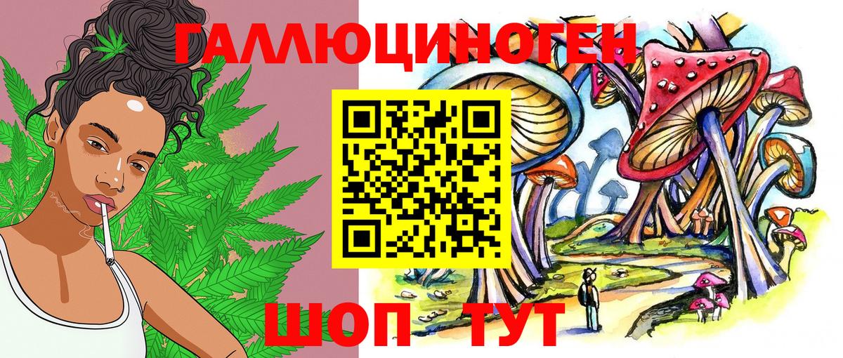 Солнечногорск  Псилоцибиновые грибы Psilocybine cubensis  Вход с VPN 